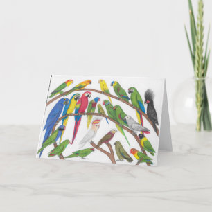 parrots greeting card