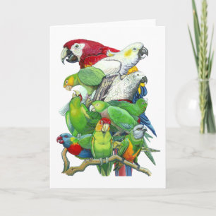 Parrots Greeting Card