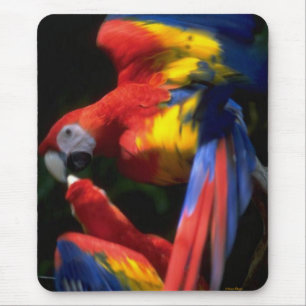Parrots In Love Mousepad