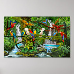 PARROTS IN PARADISE POSTER