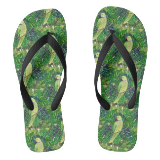 parrots jandals