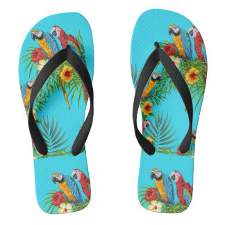 parrots jandals