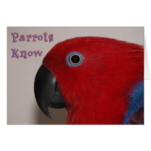 Parrots Know