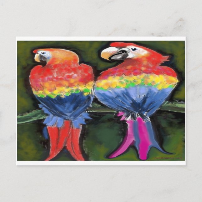 Parrots Postcard (Front)