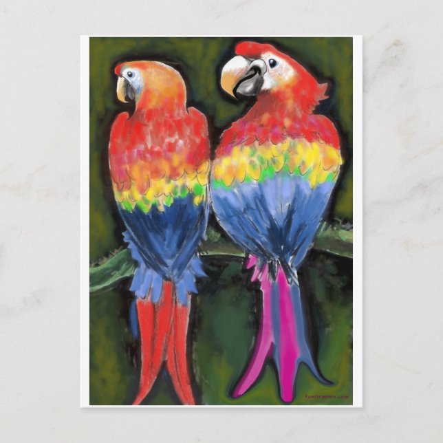 Parrots Postcard (Front)