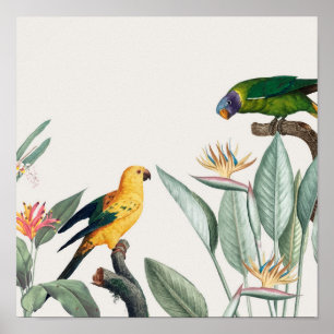 Parrots Poster