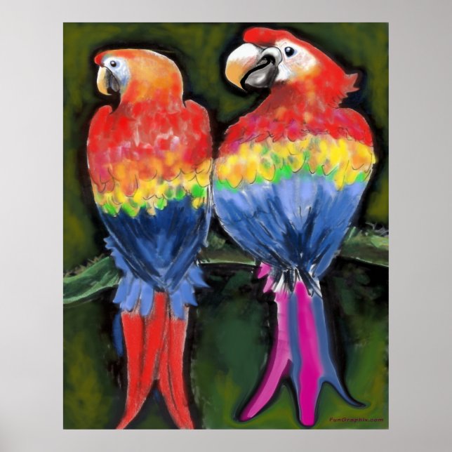 Parrots Poster (Front)