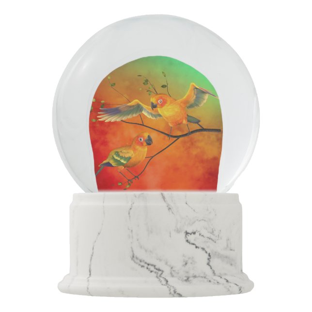 Parrots Sun Conures Snow Globe (Front)
