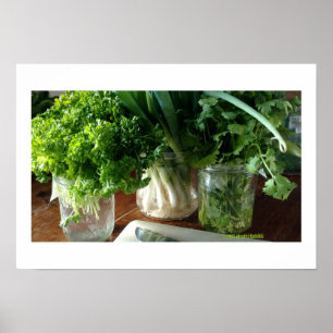 Parsley, Cilantro & Green Onions Poster