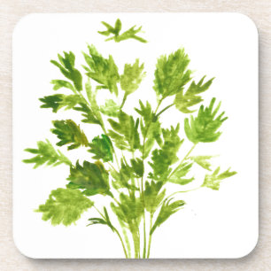 Parsley herbs watercolor greenery Garden Gardener Coaster