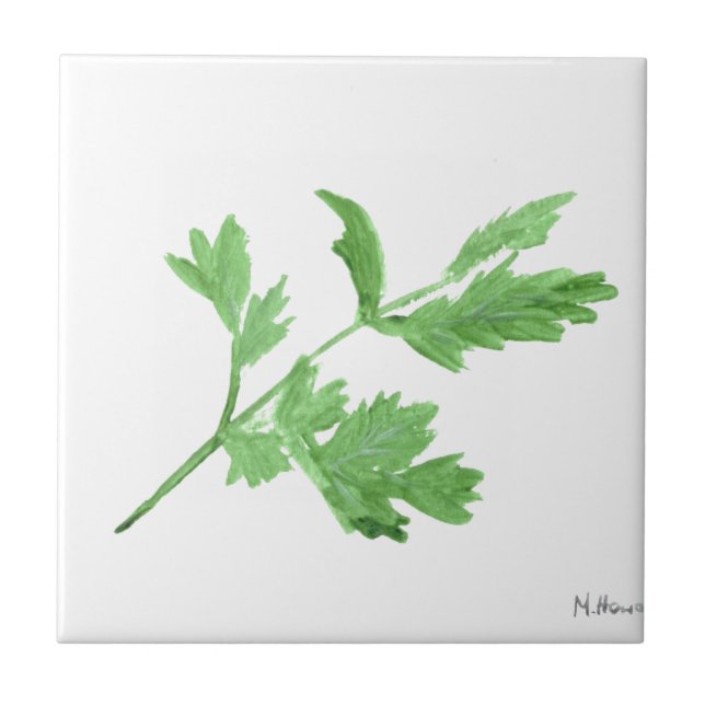 Parsley watercolor herbs green botanical plants tile (Front)