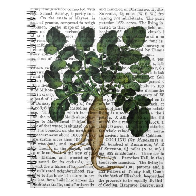 Parsnip 1 notebook (Front)