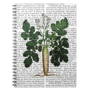 Parsnip 3 spiral notebook