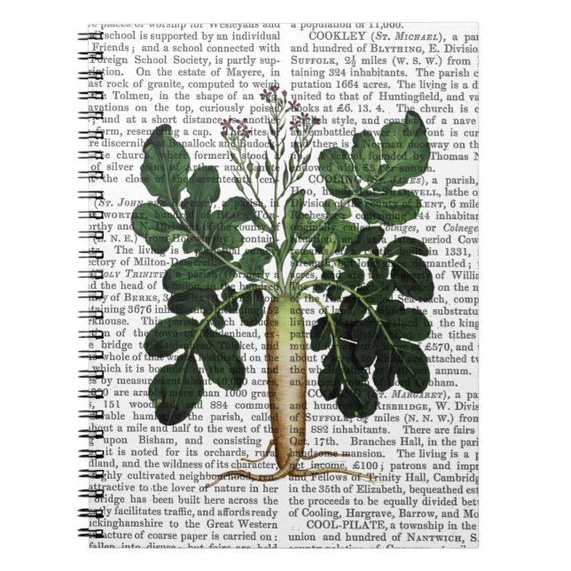 Parsnip 3 spiral notebook (Front)