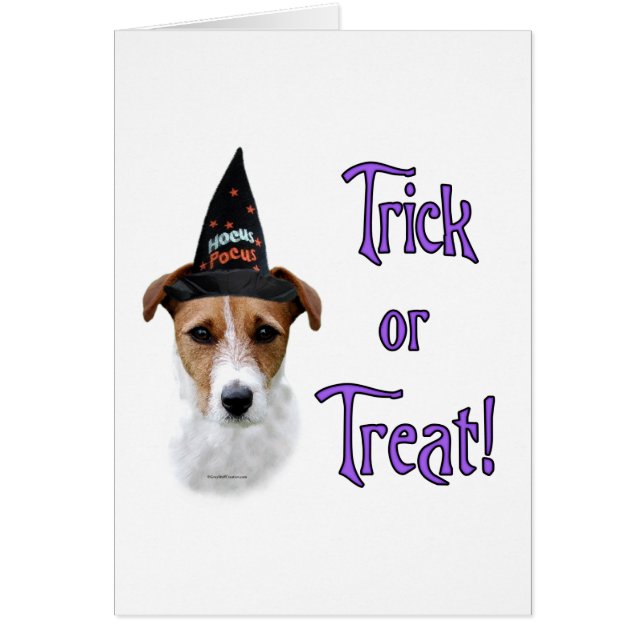 Parson Russell Terrier Trick (Front)