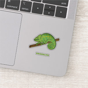 Parson's chameleon illustration