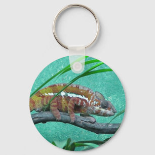 Parson's Chameleon Key Ring