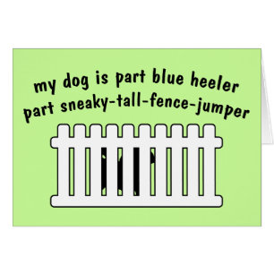 Part Blue Heeler Part Fence-Jumper