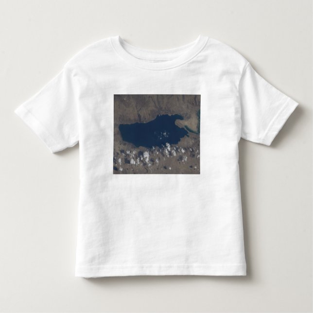 Part of the Dead Sea Toddler T-Shirt (Front)