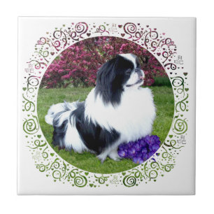 Parti-Colour Pekingese Dogs Tile