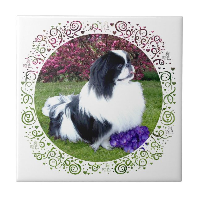 Parti-Colour Pekingese Dogs Tile (Front)
