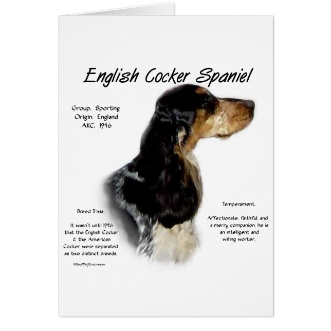 Parti Roan English Cocker Spaniel History (Front)