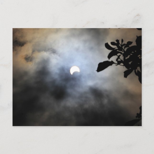 Partial Solar Eclipse Seen Behind a Sheet of Cloud Postcard (Front)