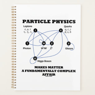 Particle Physics Makes Matter A Fundamentally Planner