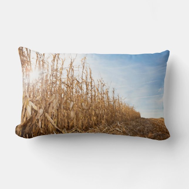 Partly Harvested Corn Field Lumbar Cushion (Front)