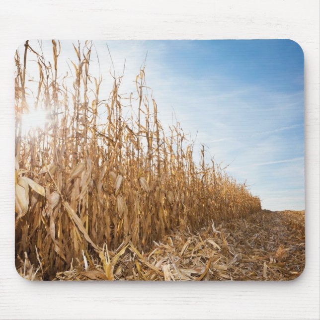 Partly Harvested Corn Field Mouse Pad (Front)
