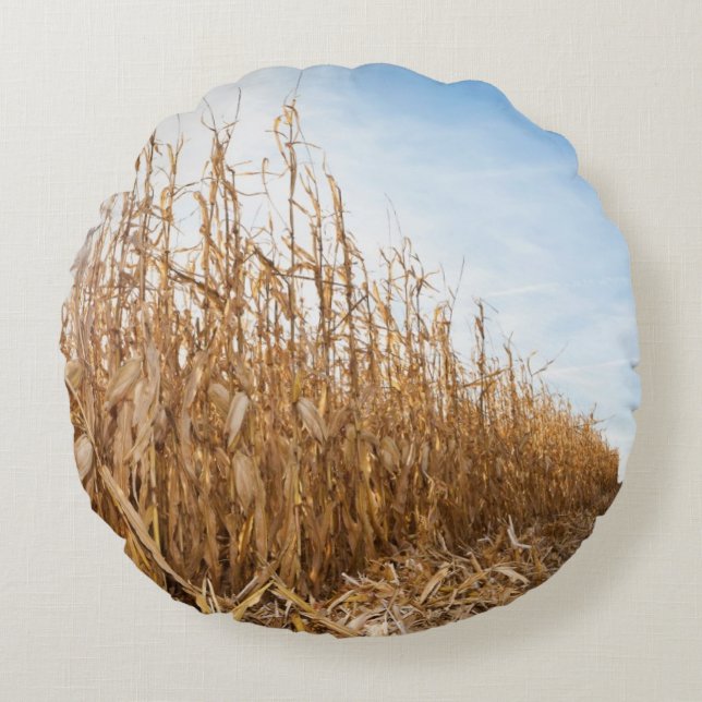 Partly Harvested Corn Field Round Cushion (Front)