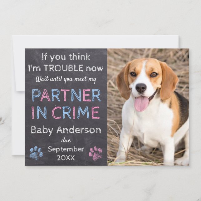 Partner in Crime Family Dog Pregnancy Announcement (Front)