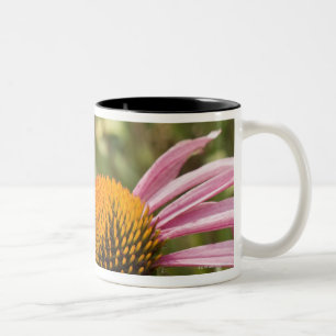 partnership, symbiotic, helping, beauty, Two-Tone coffee mug