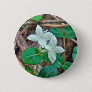 Partridge Berry Wildflower 6 Cm Round Badge