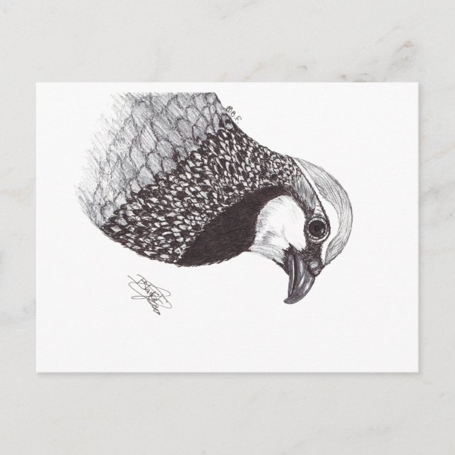 PARTRIDGE HOLIDAY POSTCARD (Front)