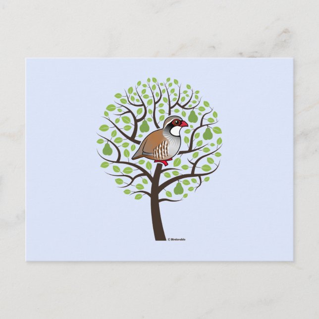 Partridge in a Pear Tree Postcard (Front)