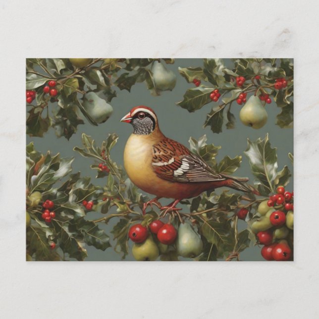 Partridge in a pear tree postcard (Front)