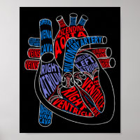Parts Of Heart Anatomical Heart Gift For Cardiolog