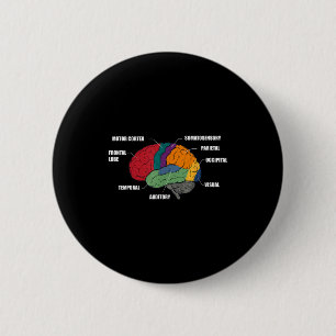 Parts of the brain anatomy colourful diagram 6 cm round badge