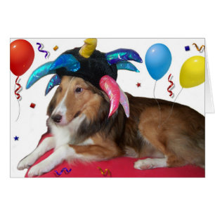 Party Animal