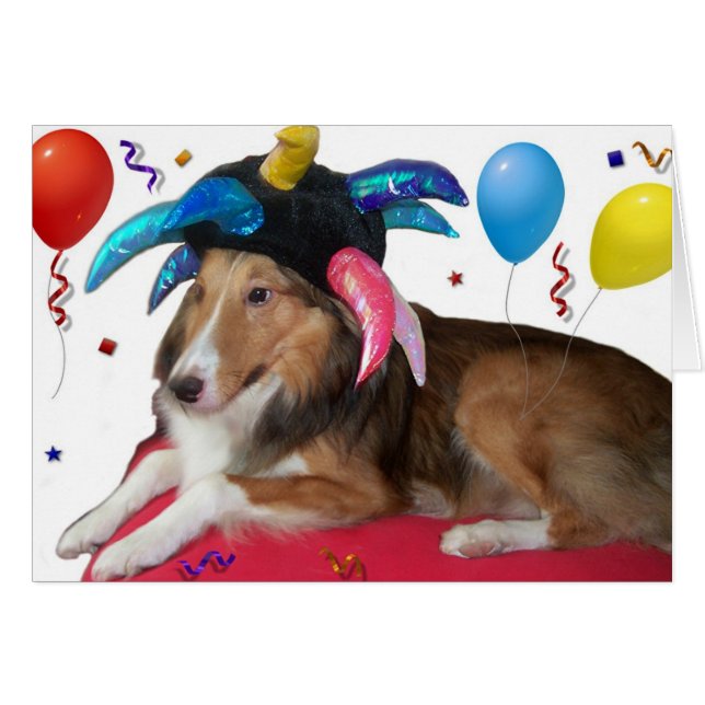 Party Animal (Front Horizontal)