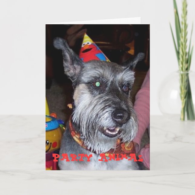 Party Animal, Birthday Card (Front)