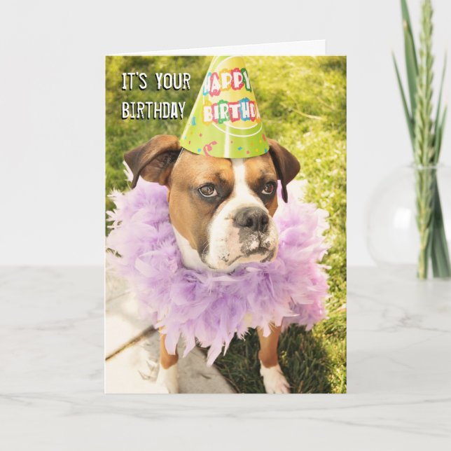 Party Animal Birthday Card (Front)