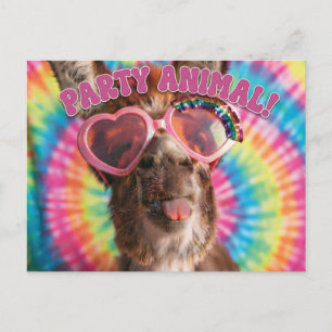 Party Animal - Funny Donkey Wearing Sunglasses Postcard