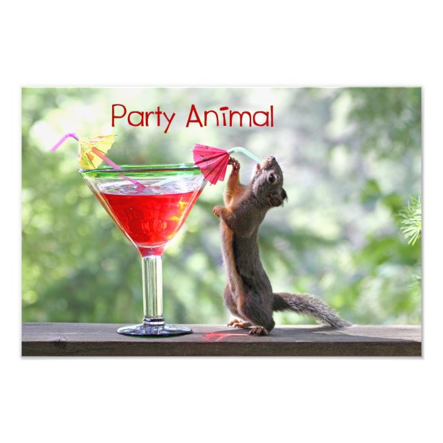 Party Animal Squirrel Photo Print (Front)
