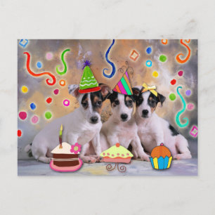 Party, animals celebrating postcard