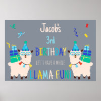 Party Animals Llama Birthday Boys Grey