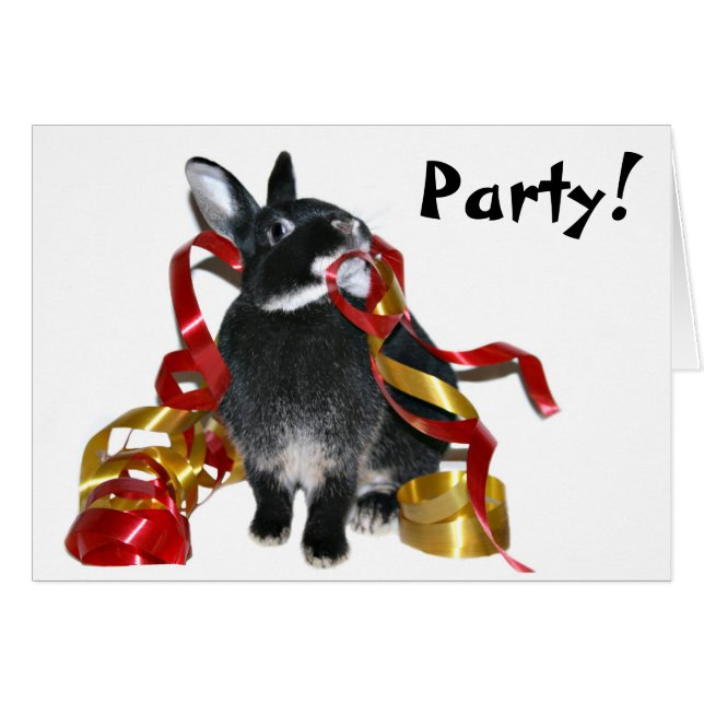 Party bunny (Front Horizontal)