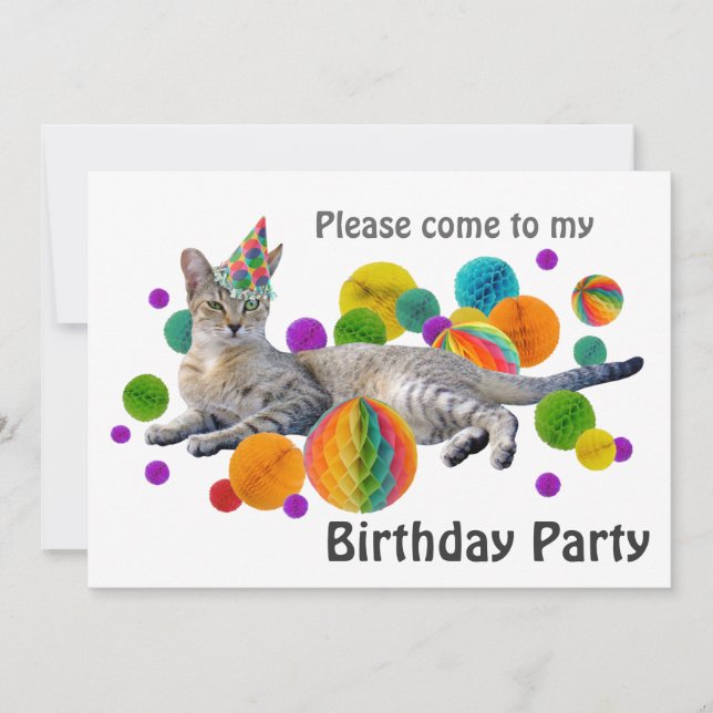 Party Cat Birthday Party Invitation (Front)