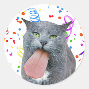 Party Cat Got Your Tongue? Classic Round Sticker